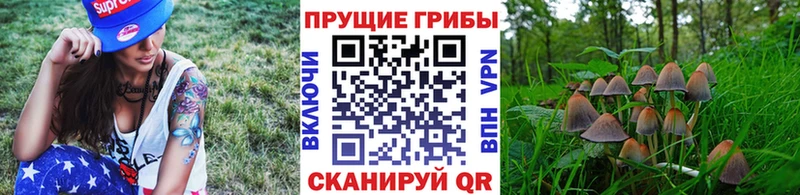 Галлюциногенные грибы мухоморы  магазин продажи   omg tor  Среднеуральск 